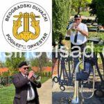Solo truba ili violina za kremaciju ili sahranu Novo groblje