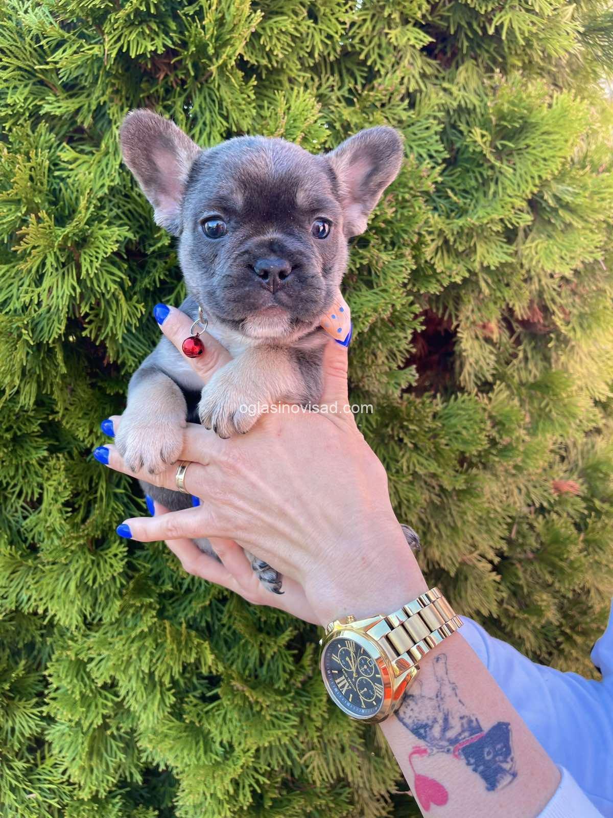 viber_image_2025-03-21_23-45-28-618