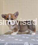 viber_image_2025-03-16_20-43-03-990