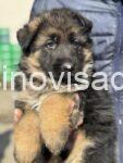 viber_image_2025-02-22_12-34-00-575-768x1024