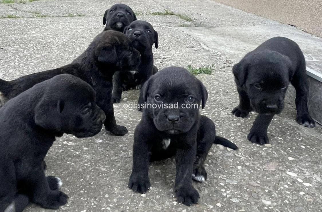 viber_image_2025-03-20_14-32-23-648