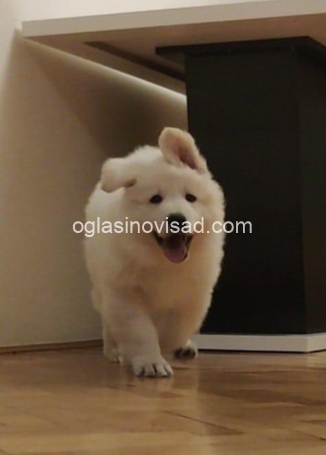 481601648_1278172729929311_4854375583170739931_n