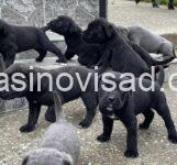 viber_image_2025-03-20_14-32-22-250