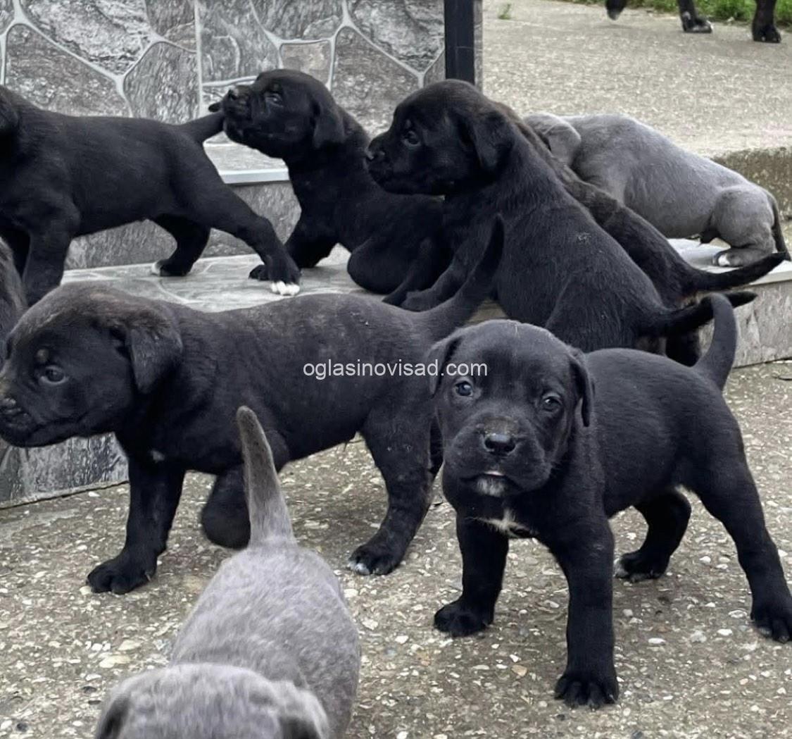 viber_image_2025-03-20_14-32-22-250