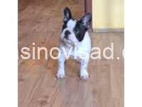 viber_image_2025-02-28_21-24-22-192