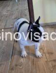 viber_image_2025-02-28_21-24-46-797-783x1024