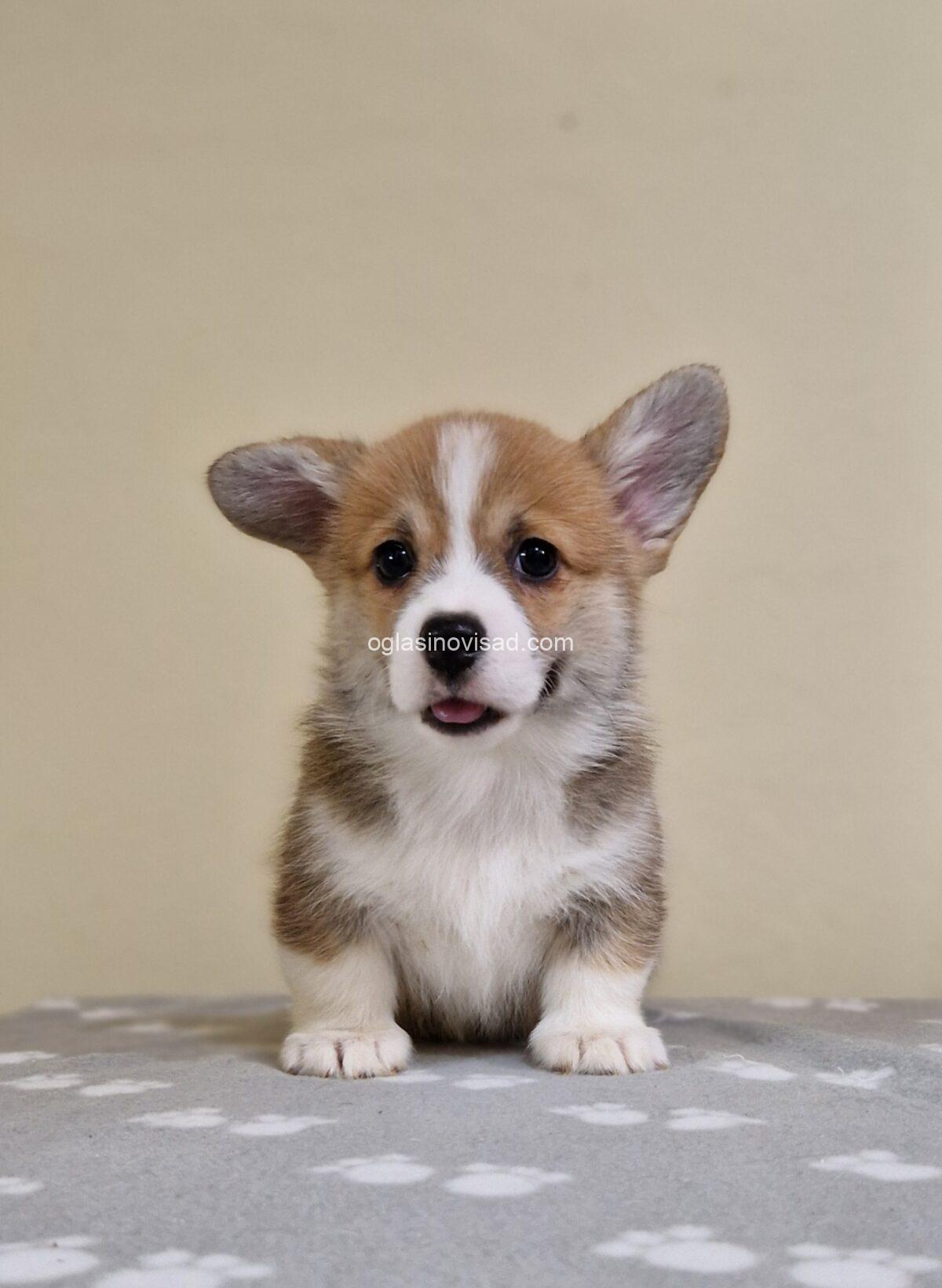 viber_image_2025-03-16_20-43-03-948