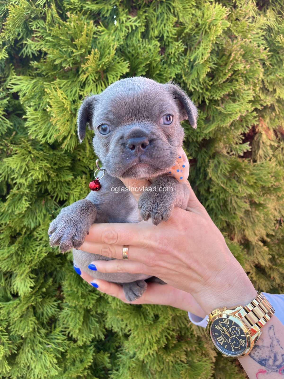 viber_image_2025-03-21_23-45-29-659