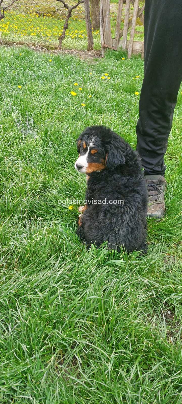 viber_slika_2025-03-29_13-47-12-967