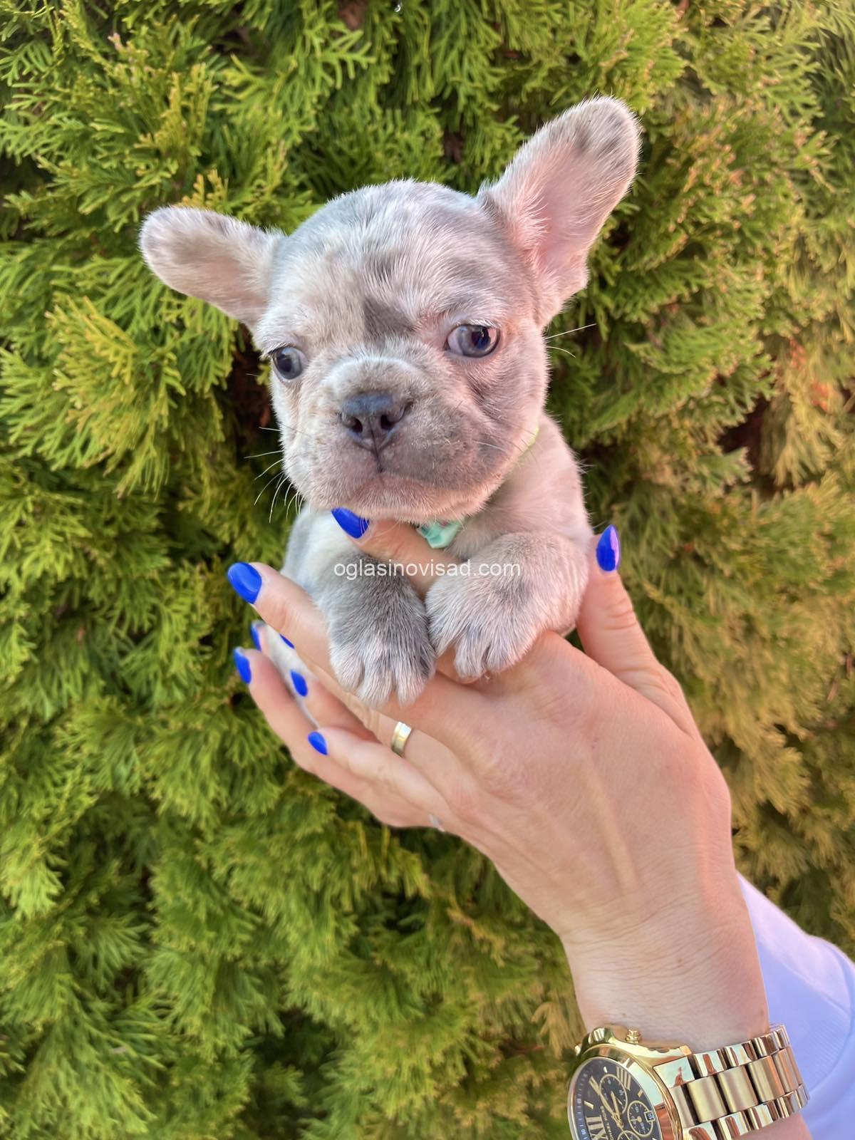 viber_image_2025-03-21_23-45-13-122