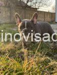 xviber_image_2025-03-14_13-36-25-735