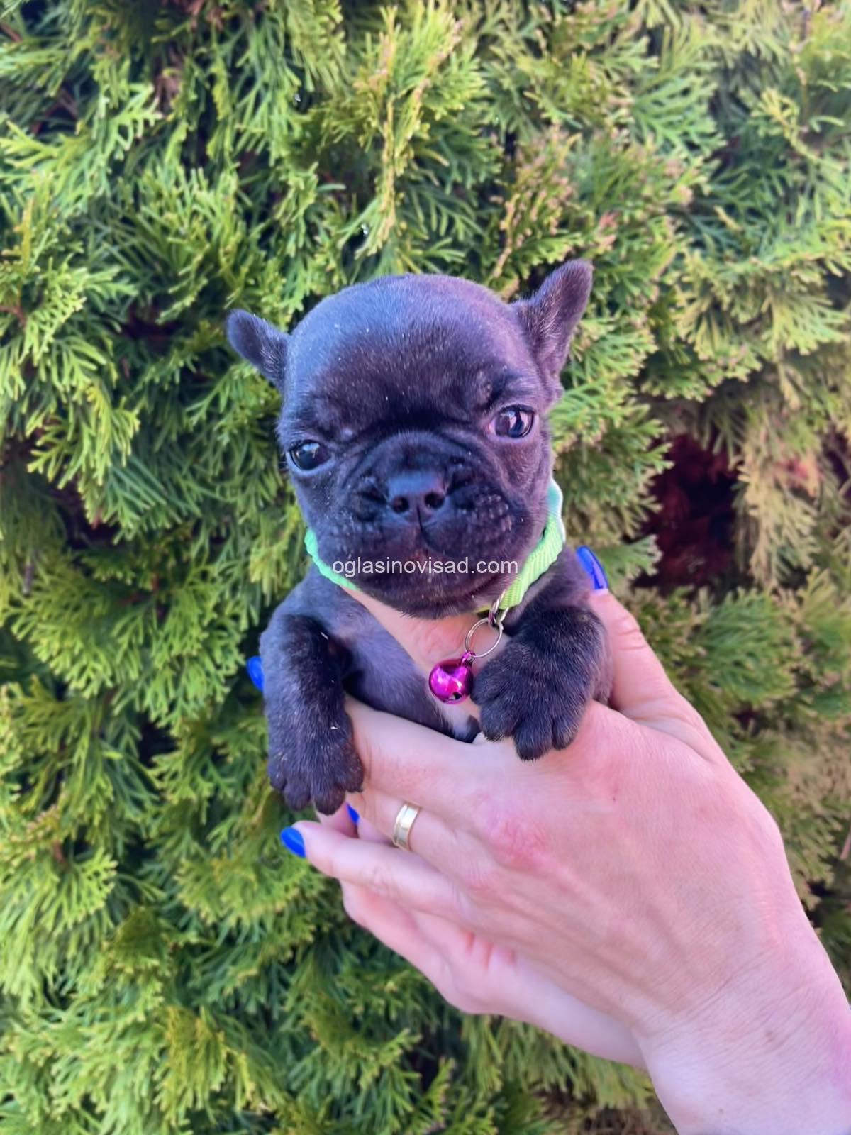 viber_image_2025-03-21_23-45-29-444