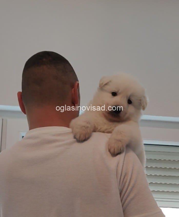 481606197_661031053009492_8095995954673321749_n