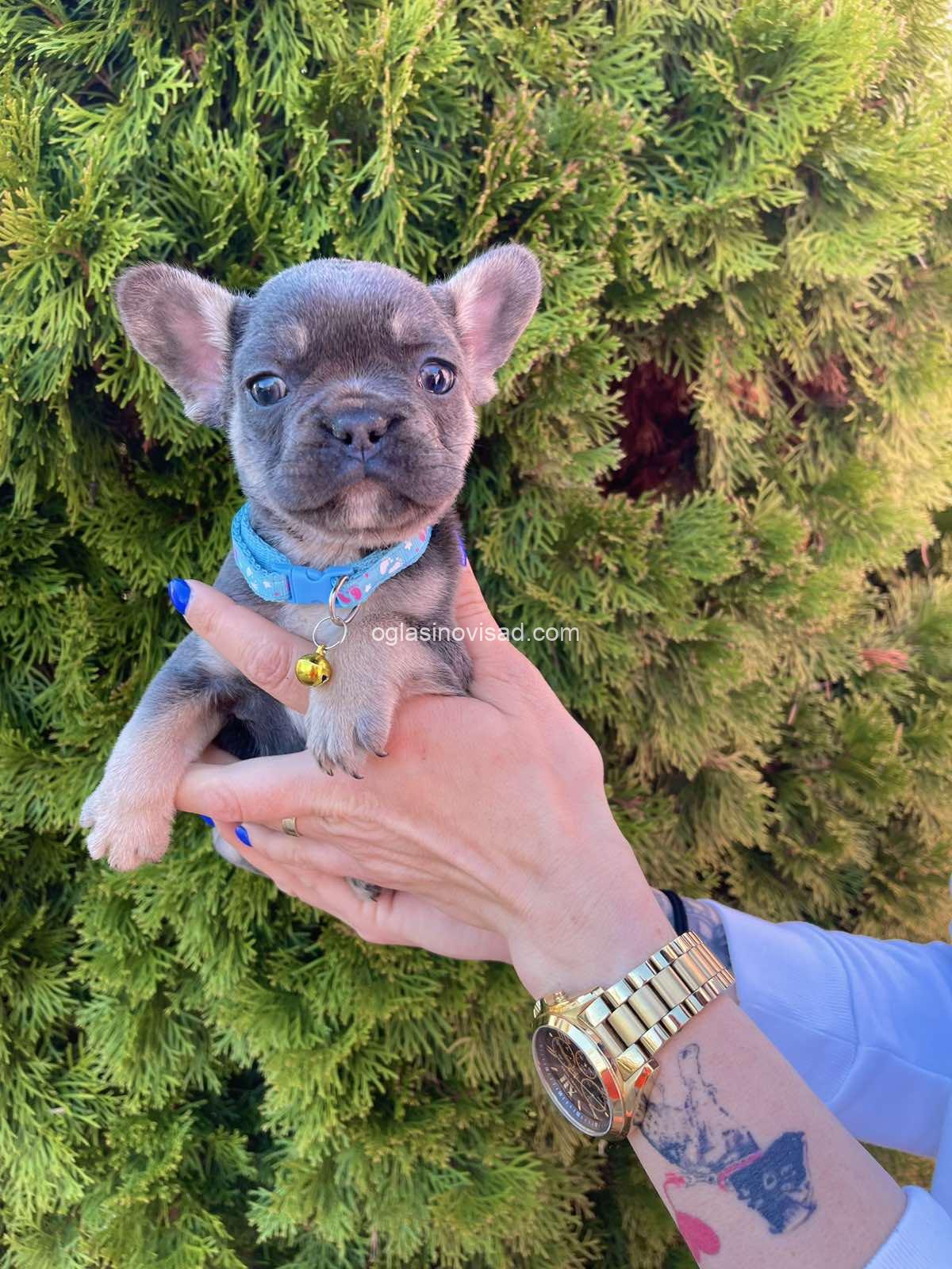 viber_image_2025-03-21_23-45-28-368