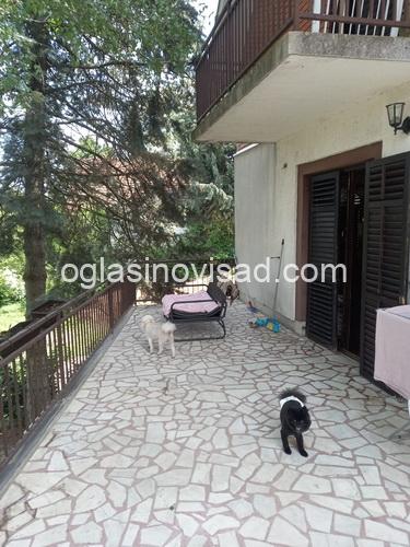 019 WhatsApp Image 2025-04-25 at 12.06.39 manja