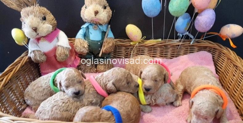 fb47e915-5297-448f-b332-7172208826a0