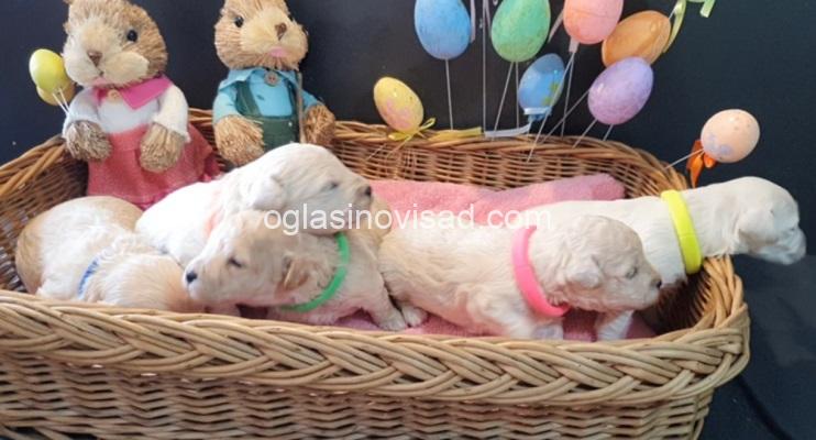 852d0906-9800-4855-b756-58c4a37f3ad4