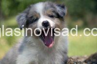 viber_slika_2025-06-29_00-17-48-306