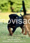 4viber_slika_2025-07-02_09-13-31-282