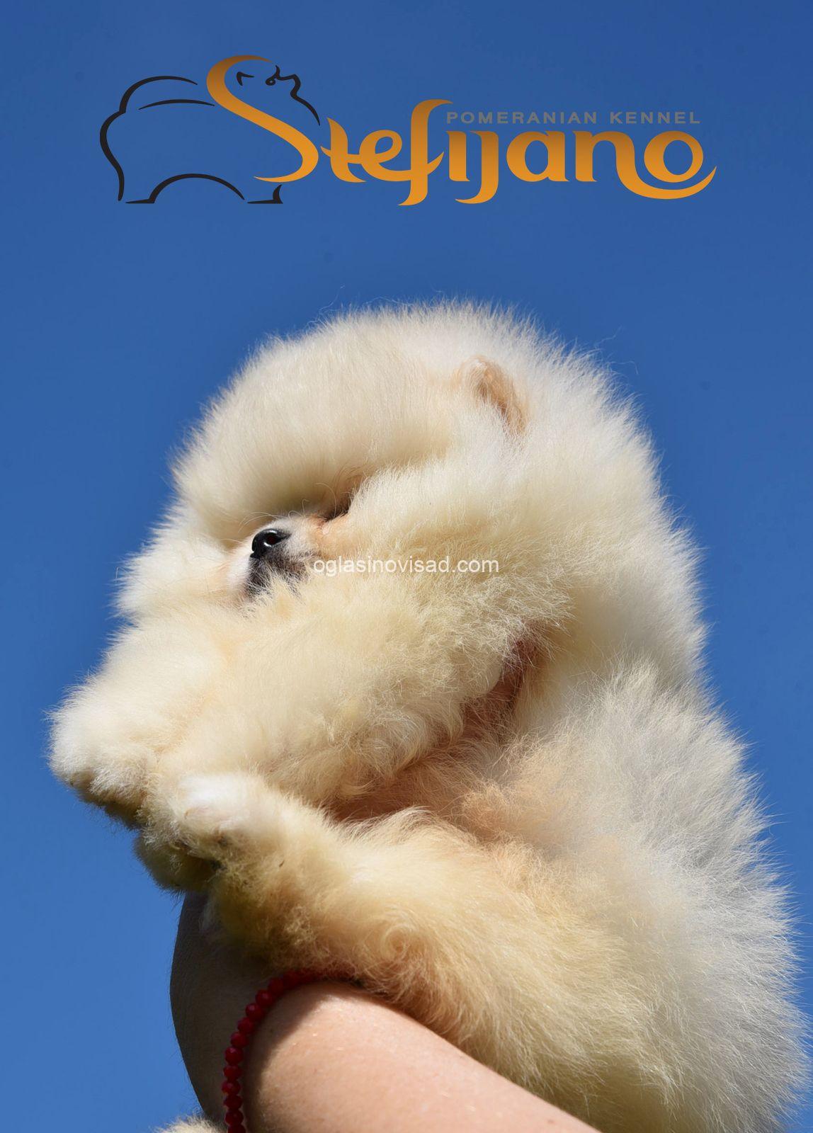 viber_image_2025-07-03_12-07-47-704