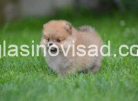 viber_image_2025-07-10_15-38-15-034