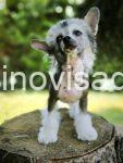 9viber_slika_2025-07-18_16-57-06-863