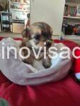 viber_image_2025-07-12_06-29-49-805