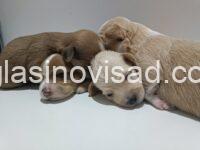 viber_image_2025-07-14_20-02-58-347