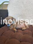 viber_image_2025-07-23_21-47-31-709
