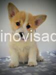 viber_image_2025-07-15_14-14-40-484