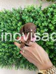 viber_image_2025-07-23_21-47-30-967