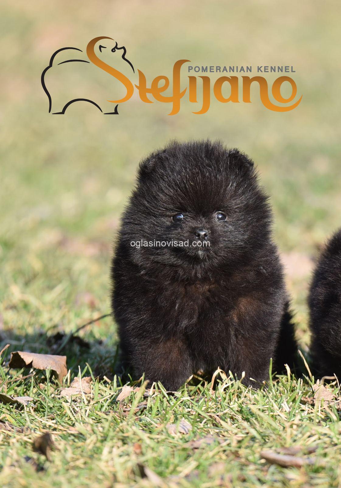 viber_image_2025-07-26_15-14-57-760
