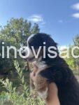 viber_slika_2025-07-14_19-12-29-043