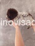 viber_image_2025-07-08_12-39-54-825