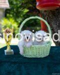 viber_image_2025-06-30_08-44-13-684
