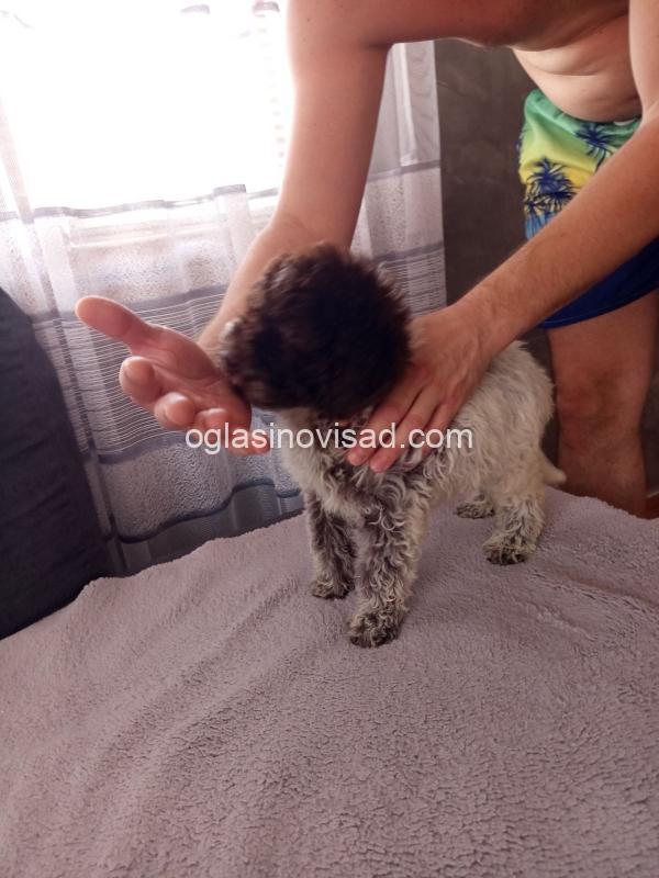 viber_image_2025-07-08_12-39-53-149