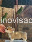 viber_image_2025-07-03_23-33-41-831
