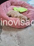 viber_image_2025-07-13_14-20-25-819