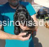 FB_IMG_1751685249068