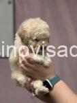 viber_image_2025-06-19_13-24-27-979