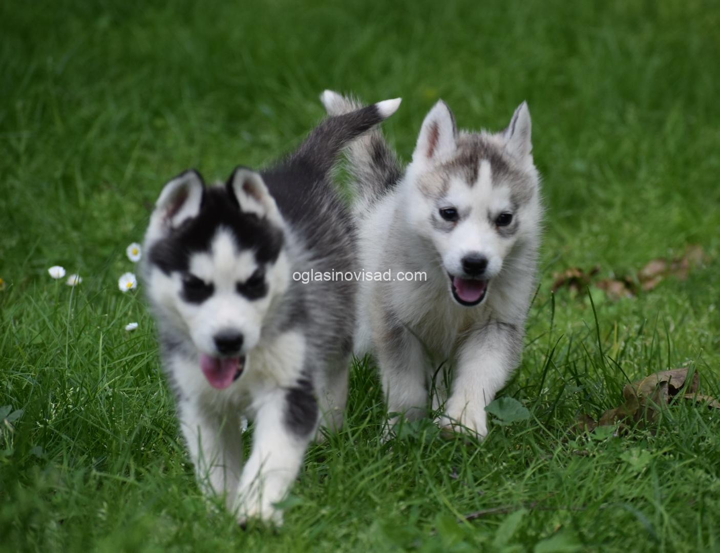 DSC_0752