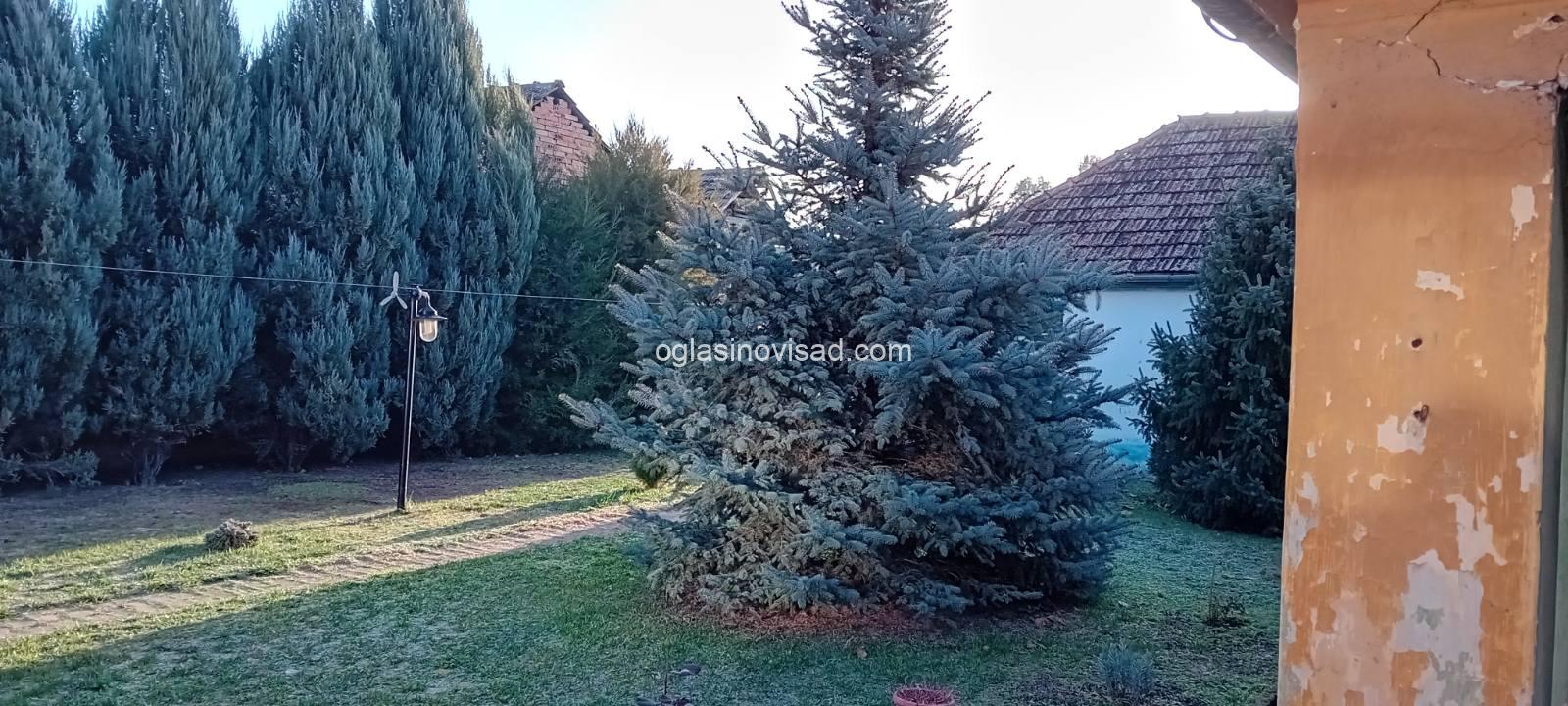 IMG-295f60b1229ad9a69b3c6aa601cc9329-V