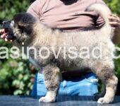 viber_image_2025-05-30_10-02-34-968