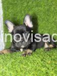 viber_image_2025-06-19_20-40-58-277-768x1024-1