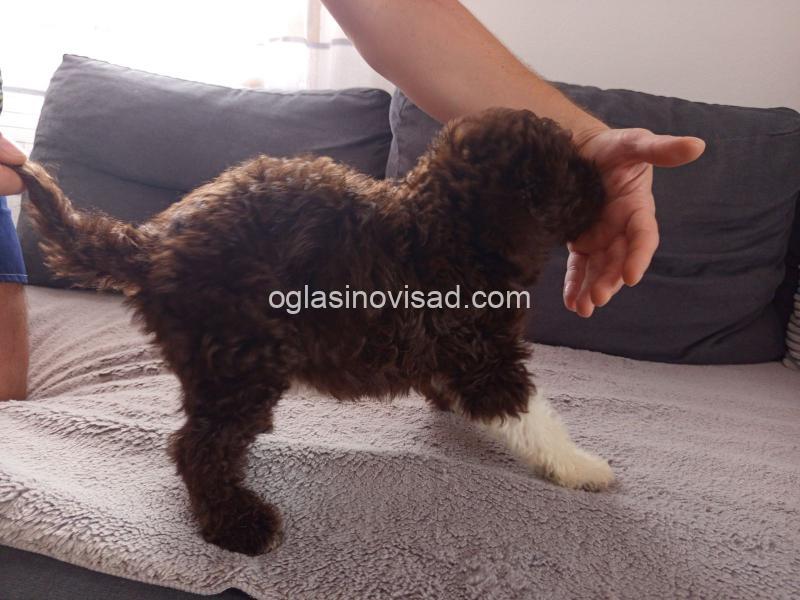 viber_image_2025-07-08_12-39-55-246