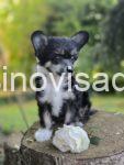 4viber_slika_2025-07-18_16-54-29-119