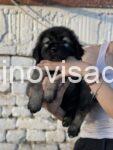 viber_image_2025-07-20_22-32-22-748