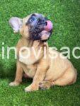 viber_image_2025-06-19_20-40-57-272-768x1024-1