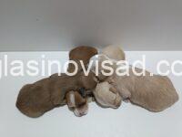 viber_image_2025-07-14_20-02-34-432
