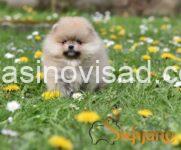 viber_image_2025-08-16_22-41-44-964